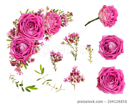 Set of pink roses and chamelaucium flowers and a corner floral arrangement isolated on white 104126858