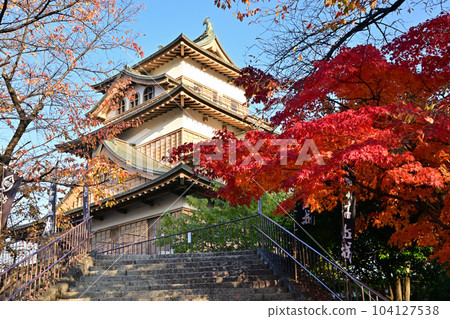 Takashima Castle Tenshi Takashima Castle Tenshi 104127538
