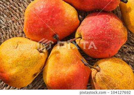 Straw-lined juicy yellow pears, wholesome food, organic fruits from the farmers' market. Idea for background or wallpaper Straw-lined juicy yellow pears, wholesome food, organic fruits from the farmers' market. Idea for background or wallpaper 104127692
