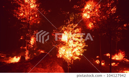 Intense flames from a massive forest fire Intense flames from a massive forest fire 104127942