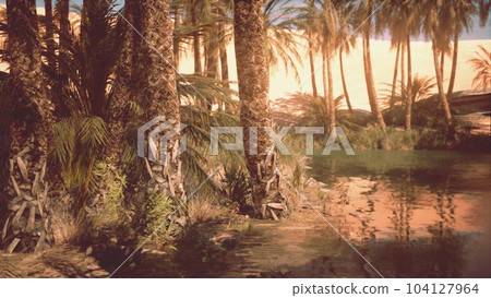 Palm trees in desert Liwa dunes Palm trees in desert Liwa dunes 104127964