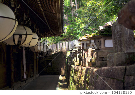 Stone lanterns behind Nigatsudo, Todaiji Temple 104128150