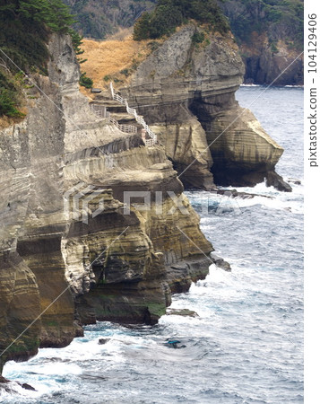靜岡縣 堂島 從人行道上看到的蛇島景色 2 月 靜岡縣 堂島 從人行道上看到的蛇島景色 2 月 104129406
