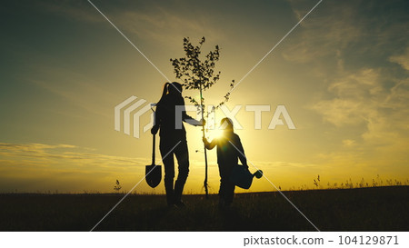 fresh tree seedling sunset, young roots, soil ground, plant garden, silhouette happiness family mother child, senior farmer with child kid daughter girl plants tree garden, sunny spring summer, sunset 104129871