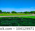 A blue sky and a lawn park 104129971