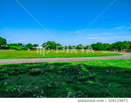 A blue sky and a lawn park 104129971