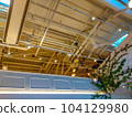 Ceiling with exposed pipes and ivy plants 104129980