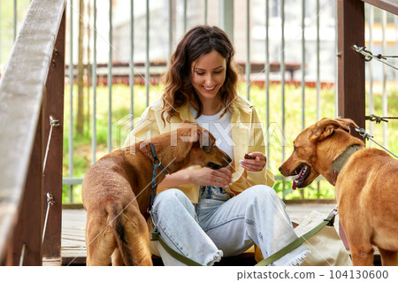 A young charming smiling girl is resting sitting on the steps while walking with two golden dogs. The girl treats her pets. Love and affection between owner and pet. Adopting a pet from a shelter. 104130600