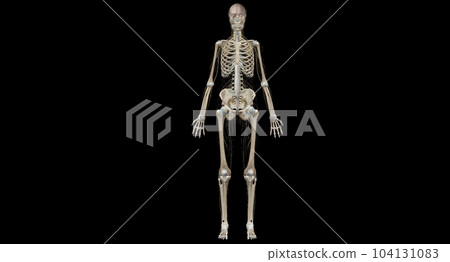 Your nervous system is your body's command center. 104131083