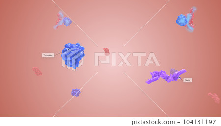 A blood clot stays in place with the production and use of fibrin at the site of a wound. 104131197
