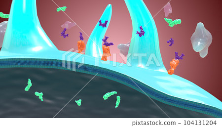Platelet activation and aggregation play an important role in occlusive vascular events Platelet activation and aggregation play an important role in occlusive vascular events 104131204