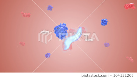 A blood clot stays in place with the production and use of fibrin at the site of a wound. 104131205