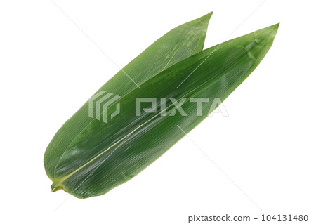[White background] 2 bamboo leaves 104131480