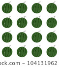 watermelon pattern 104131962