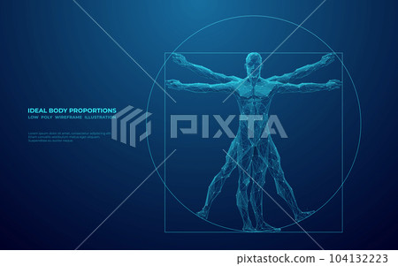 Digital Vitruvian Human. Da Vinci Anatomy Body. 104132223