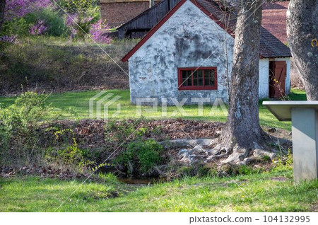 Gnarled tree roots by a stream and stone cottage background Gnarled tree roots by a stream and stone cottage background 104132995