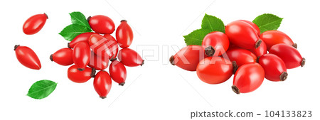 Rose hip isolated on a white background with full depth of field. Top view. Flat lay. Rose hip isolated on a white background with full depth of field. Top view. Flat lay. 104133823