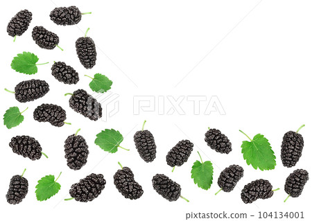 Mulberry with leaf isolated on white background with copy space for your text. Top view. Flat lay Mulberry with leaf isolated on white background with copy space for your text. Top view. Flat lay 104134001