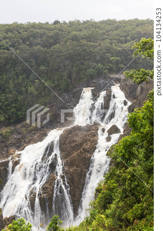 Barron Falls seen from the Skyrail lookout outside Cairns 104134253