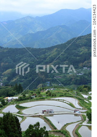 群山環抱的穴內梯田(高知縣大豐町) 群山環抱的穴內梯田(高知縣大豐町) 104134423