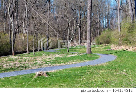 Winding path leads through a woodland park with grass and tall trees Winding path leads through a woodland park with grass and tall trees 104134512