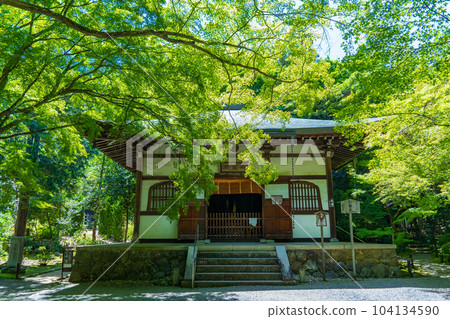 Jizo-in Temple (Bamboo Temple) in Ukyo Ward, Kyoto City 104134590