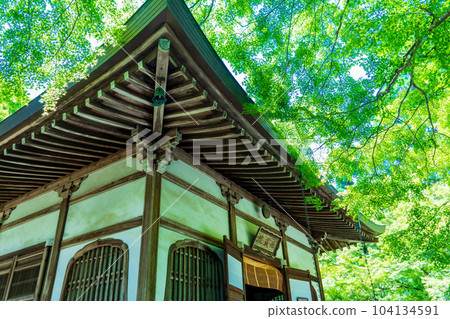 Jizo-in Temple (Bamboo Temple) in Ukyo Ward, Kyoto City Jizo-in Temple (Bamboo Temple) in Ukyo Ward, Kyoto City 104134591