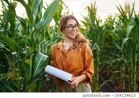 Farmer woman stands in field, inspects green corn plantation. Agricultural industry. Harvest care. 104134623
