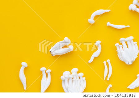 White beech mushrooms, Shimeji mushroom, Edible mushroom on yellow background. 104135912