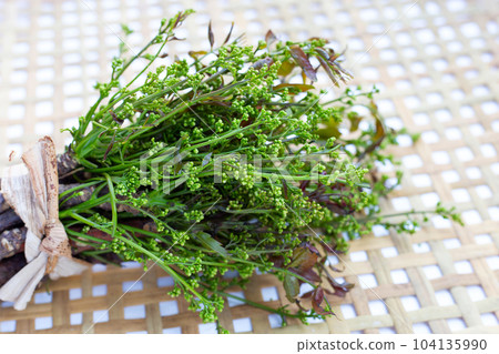 Neem leaves with flowers on dark background. Neem leaves with flowers on dark background. 104135990