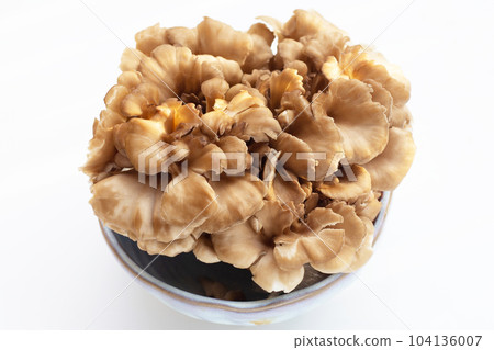 Maitake (Grifola frondose) mushroom on white background 104136007