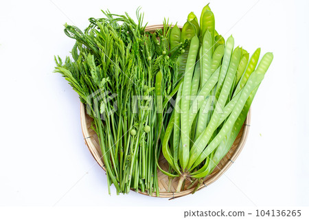 Leucaena leucocephala isolated on white background Leucaena leucocephala isolated on white background 104136265