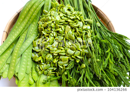 Leucaena leucocephala isolated on white background Leucaena leucocephala isolated on white background 104136266