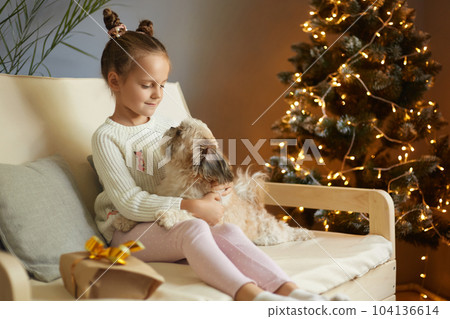 Beautiful little girl kid with funny hair buns playing with her favorite Pekingese dog on cough. Girl cares about pet at home and celebrating Christmas together. Beautiful little girl kid with funny hair buns playing with her favorite Pekingese dog on cough. Girl cares about pet at home and celebrating Christmas together. 104136614