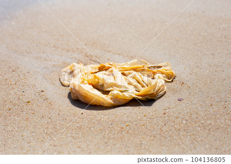 Plastic bag pollution on the beach Plastic bag pollution on the beach 104136805