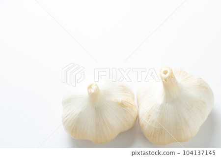 Garlic, two. (white background) 104137145