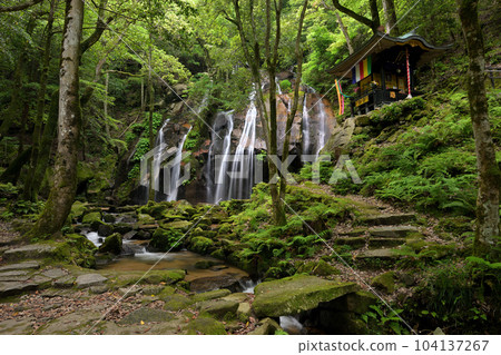 Kanabiki Falls, early summer (Miyazu City, Kyoto Prefecture) Kanabiki Falls, early summer (Miyazu City, Kyoto Prefecture) 104137267