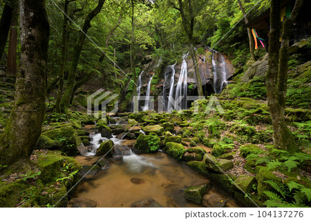 Kanabiki Falls, early summer (Miyazu City, Kyoto Prefecture) Kanabiki Falls, early summer (Miyazu City, Kyoto Prefecture) 104137276