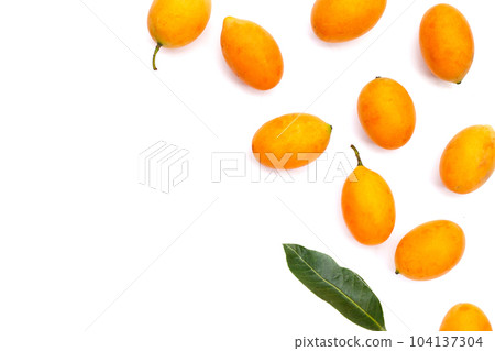 Marian plum fruit isolated on white background Marian plum fruit isolated on white background 104137304