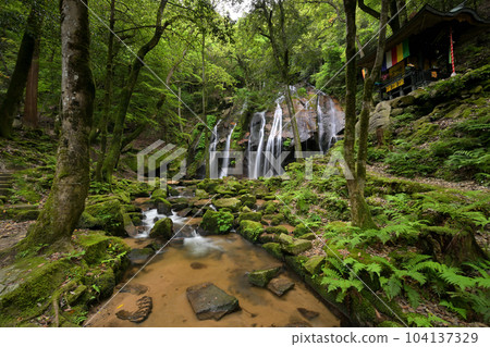 初夏的金引瀑布（京都府宮津市） 104137329