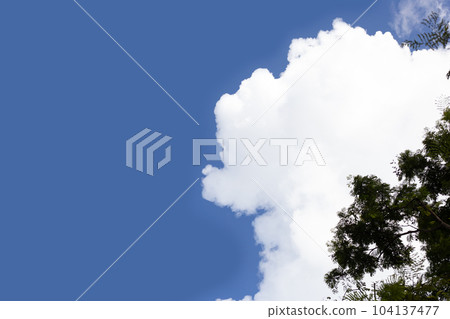 Blue sky with white clouds Blue sky with white clouds 104137477