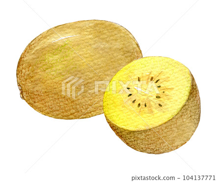 Watercolor illustration yellow kiwi 104137771