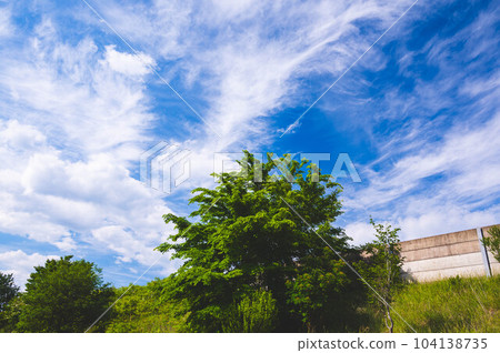 Looking up at the sky and the highway 104138735