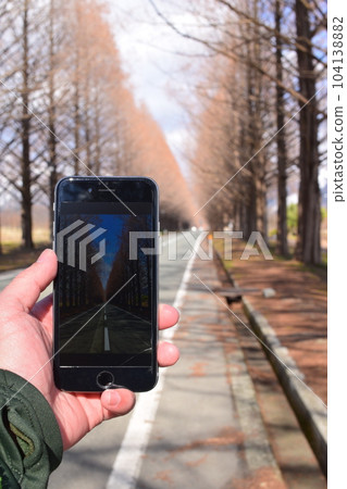 牧野高原的美國加州紅杉樹 104138882