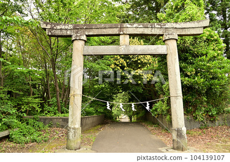 新潟縣上越市高知縣的甲太神社 104139107