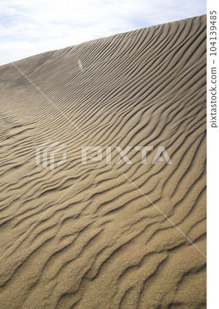 Summer Tottori Sand Dunes and their patterns Tottori Prefecture Tottori Sand Dunes 104139485