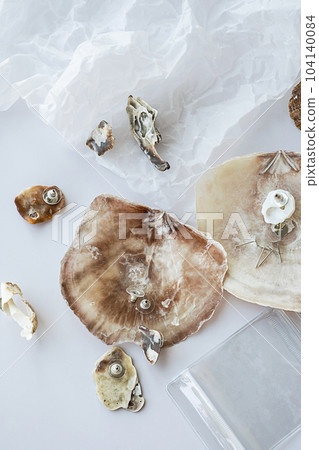 Handmade seashell earrings and tools for creating. Crafting eco friendly jewelry from natural material. Handmade seashell earrings and tools for creating. Crafting eco friendly jewelry from natural material. 104140084