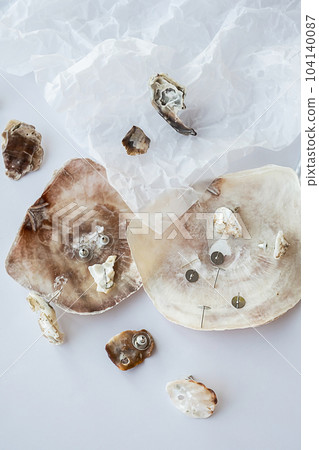 Handmade seashell earrings and tools for creating. Craft jewelry from natural material. 104140087