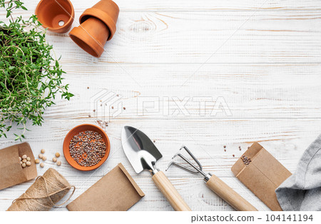 Gardening concept, planting at home Gardening concept, planting at home 104141194