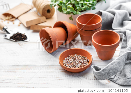 Gardening concept, planting at home 104141195